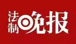 威县爆料最新新闻头条号,聚焦热点事件，揭秘幕后真相