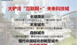 铲子最新爆料,最新爆料背后的惊人真相