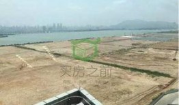 铲子最新爆料,最新爆料背后的惊人真相