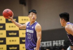 王晶篮球爆料视频最新,揭秘篮球界不为人知的幕后故事