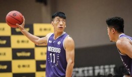王晶篮球爆料视频最新,揭秘篮球界不为人知的幕后故事