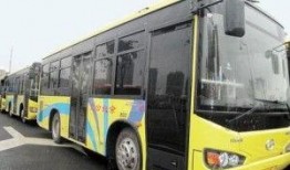 宁波公交车最新爆料,揭秘最新线路调整与乘车体验升级