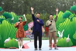 绿地物业爆料事件视频最新,真相揭露，业主权益再引关注