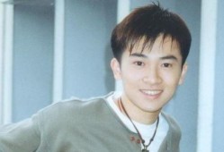 苏有朋明星娱乐圈最新爆料,揭秘明星背后的故事与精彩瞬间